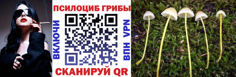 Галлюциногенные грибы мицелий  магазин    Нижний Ломов 